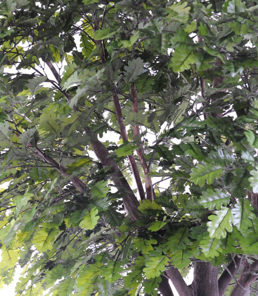 Quercia Artificiale Da Interno 300Cm