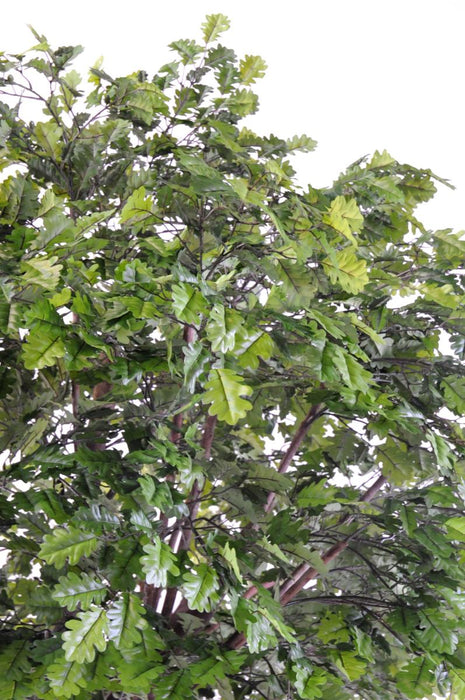 Quercia Artificiale Da Interno 300Cm