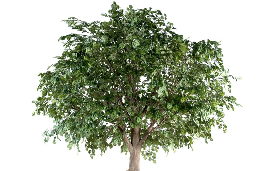 Quercia Artificiale Da Interno 300Cm