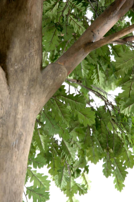 Quercia Artificiale Da Interno 400Cm