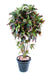 Pianta Da Interno Artificiale Croton Tree H.180 Cm