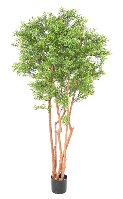 Albero Di Eucalipto Artificiale 180 Cm Per Interni Ed Esterni