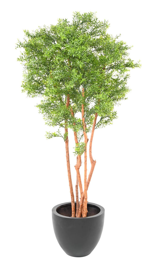 Albero Di Eucalipto Artificiale 180 Cm Per Interni Ed Esterni