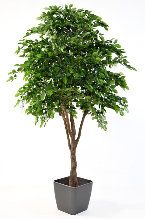 Decorazione D'interni Di Faggio Artificiale 280 Cm