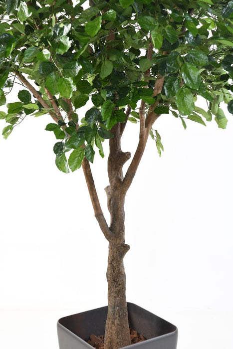 Decorazione D'interni Di Faggio Artificiale 280 Cm