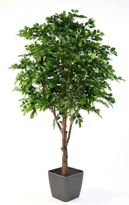 Decorazione D'interni Di Faggio Artificiale 280 Cm