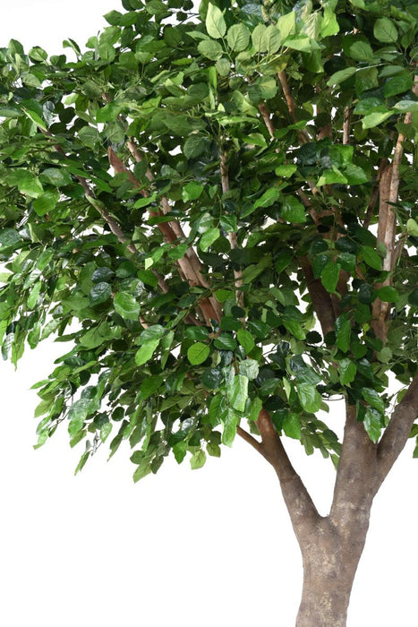 Decorazione Per Interni In Faggio Artificiale 360 Cm