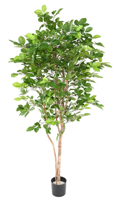 Decorazione Di Faggio Artificiale Grandifolia 190 Cm