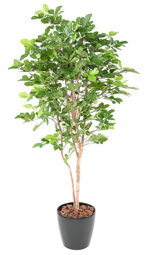Decorazione Di Faggio Artificiale Grandifolia 190 Cm
