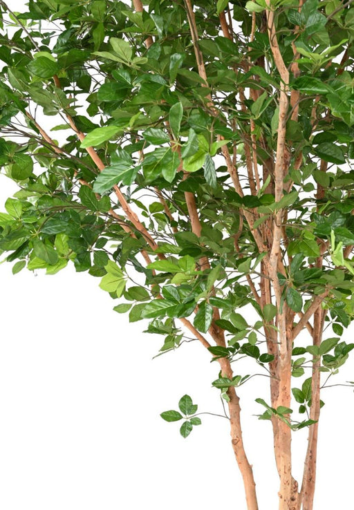 Faggio Artificiale Grandifolia 350Cm Decorazione Interna