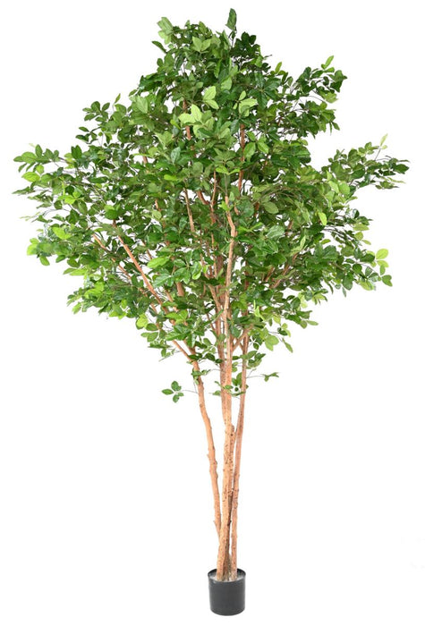 Faggio Artificiale Grandifolia 350Cm Decorazione Interna