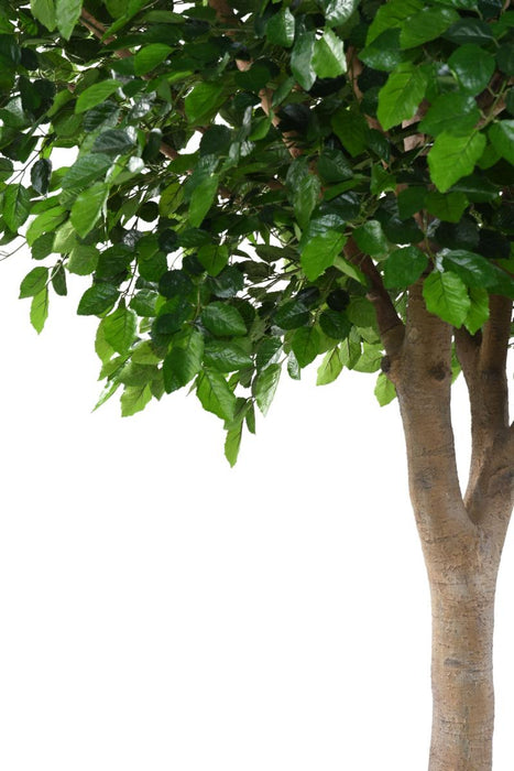 Testa Di Faggio Artificiale 340 Cm Decorazione Interna