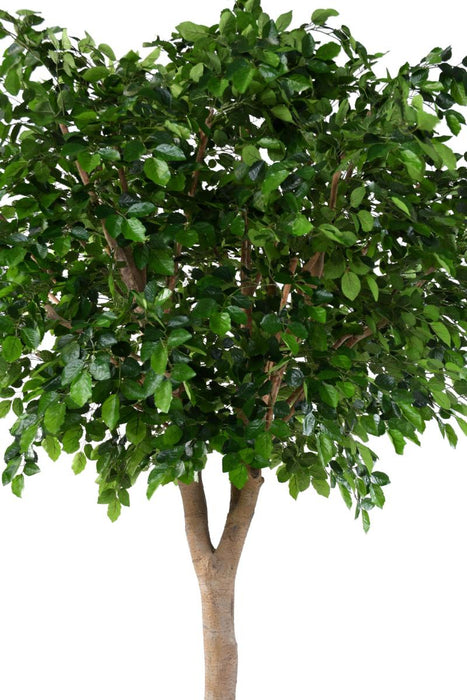 Testa Di Faggio Artificiale 340 Cm Decorazione Interna