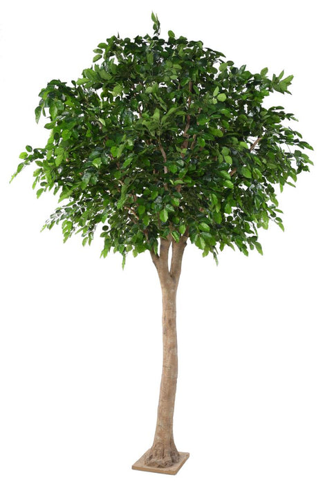 Testa Di Faggio Artificiale 340 Cm Decorazione Interna