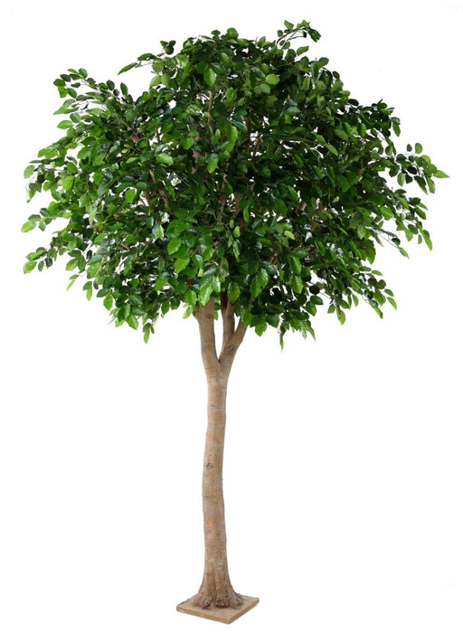 Testa Di Faggio Artificiale 340 Cm Decorazione Interna