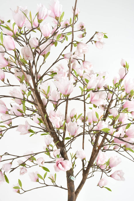 Albero Di Tulipano Magnolia Artificiale Dal Giappone 230 Cm