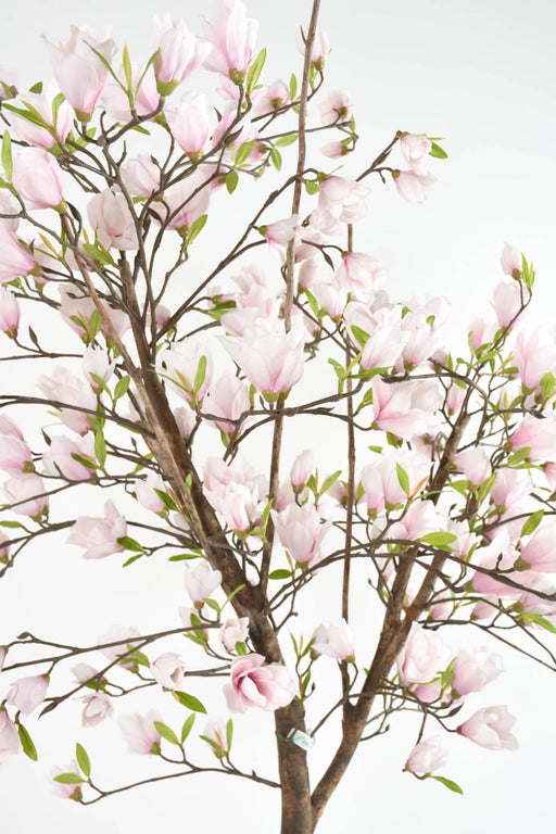 Albero Di Tulipano Magnolia Artificiale Dal Giappone 230 Cm