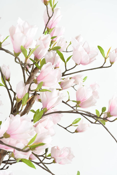 Albero Di Tulipano Magnolia Artificiale Dal Giappone 230 Cm