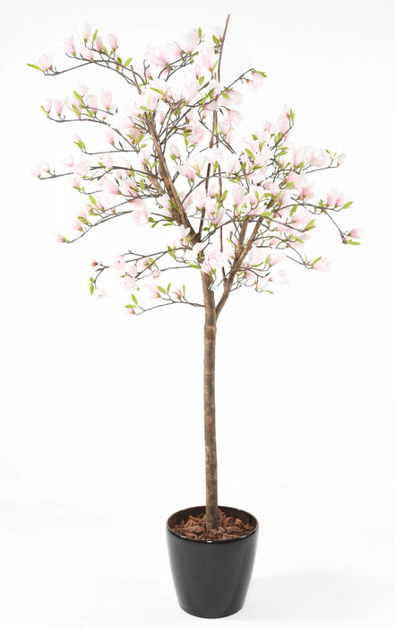 Albero Di Tulipano Magnolia Artificiale Dal Giappone 230 Cm