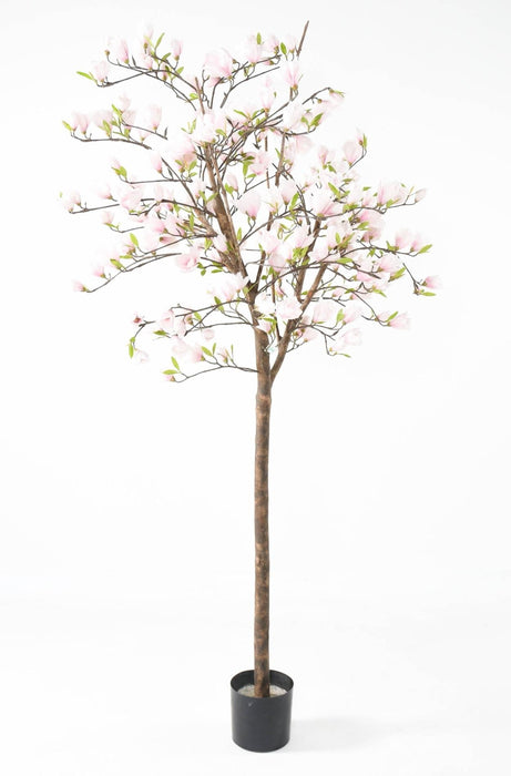 Albero Di Tulipano Magnolia Artificiale Dal Giappone 230 Cm