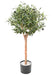 Olivo Artificiale 110 Cm Per Interni
