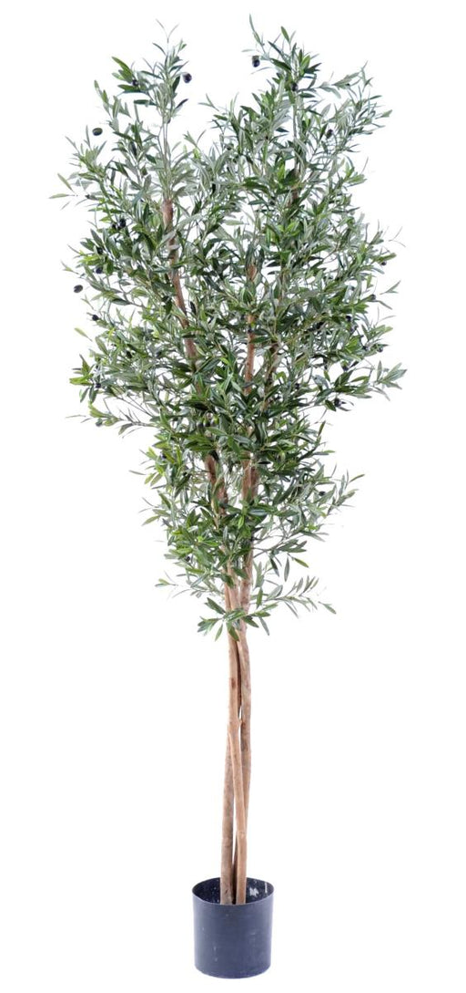 Ulivo Artificiale 3 Tronchi H.210Cm Decorazione Interni