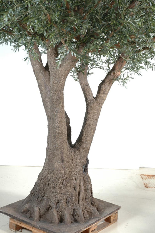 Olivo Artificiale 430Cm Per Interni