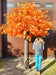 Arancio Aralia Acero Artificiale 300 Cm