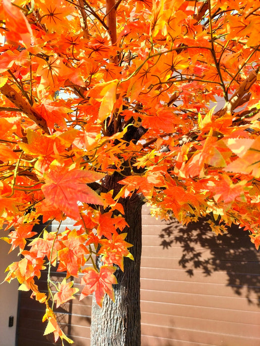 Arancio Aralia Acero Artificiale 300 Cm