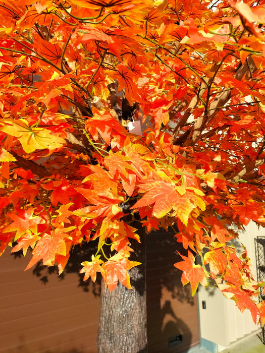 Arancio Aralia Acero Artificiale 300 Cm
