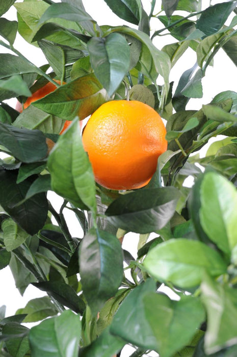 Decorazione D'interni Di Arancio Artificiale 150Cm