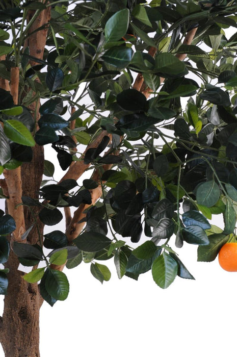 Arancio Artificiale 210Cm Per Interni