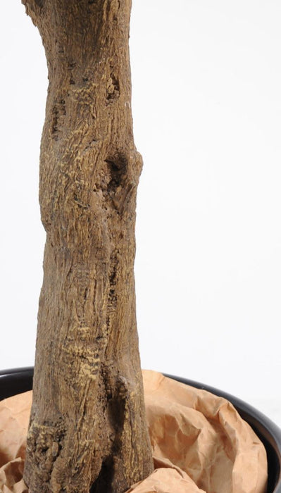 Arancio Artificiale 210Cm Per Interni