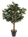 Arancio Artificiale 210Cm Per Interni