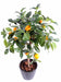 Vaso Da Interno Per Albero Di Arancio Artificiale 85 Cm