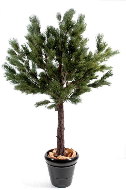 Albero Artificiale Pino Austriaco 170Cm Per Interni