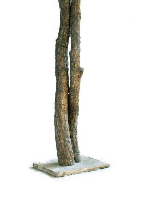 Pino Marittimo Artificiale 430Cm Decorazione Interni