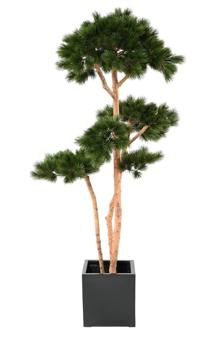 Pino Mediterraneo Artificiale 225 Cm Per Interni