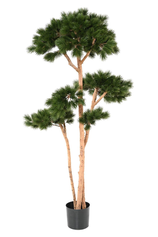 Pino Mediterraneo Artificiale 225 Cm Per Interni