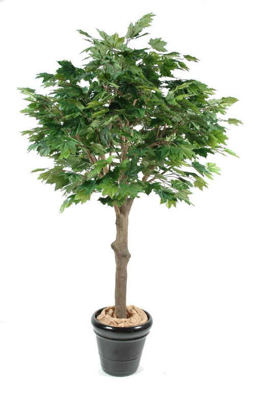 Platano Artificiale 260Cm Per La Decorazione D'interni