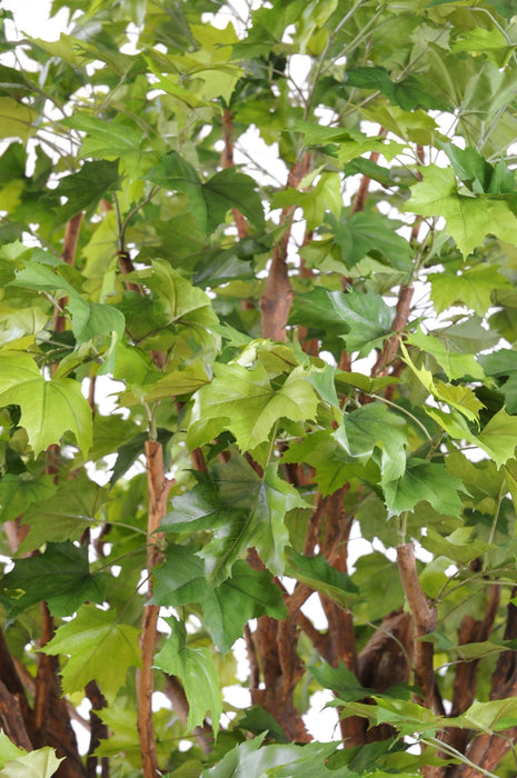 Platano Artificiale 350Cm Per Interni