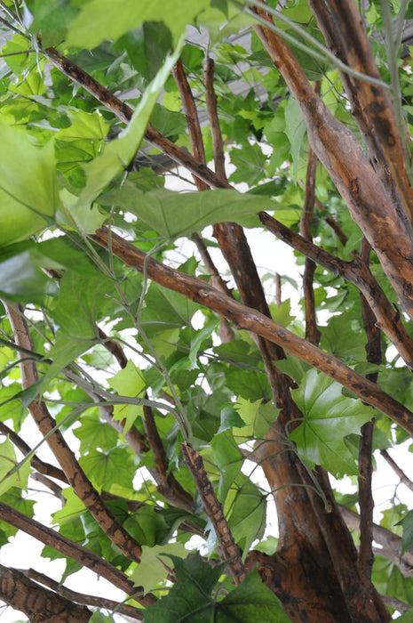 Platano Artificiale 350Cm Per Interni