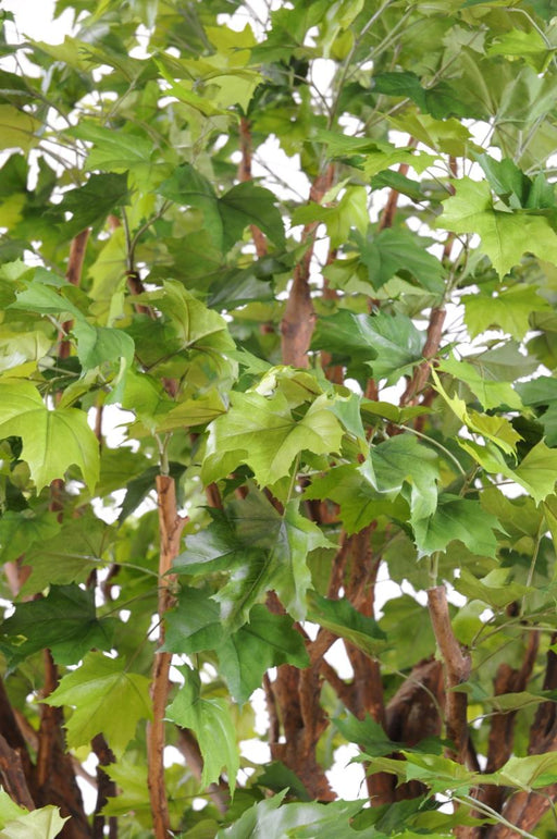 Platano Artificiale 490Cm Per La Decorazione D'interni