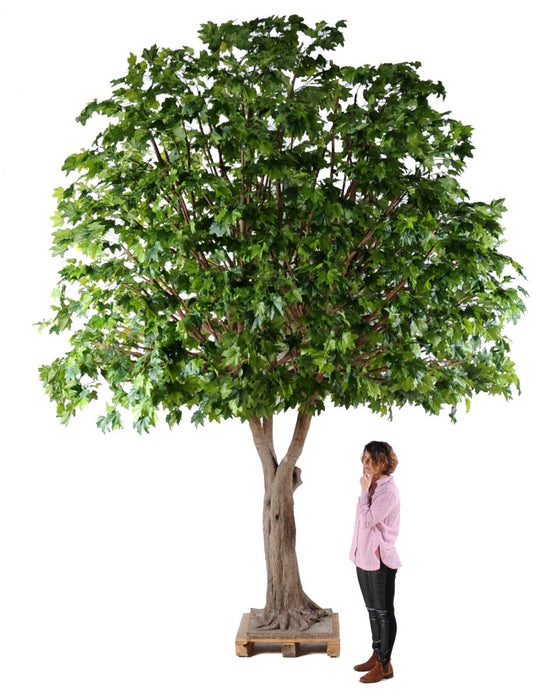 Platano Artificiale 490Cm Per La Decorazione D'interni