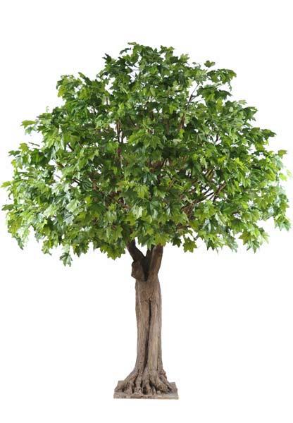 Platano Artificiale 620Cm Decorazione Interna