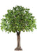 Platano Artificiale 620Cm Decorazione Interna