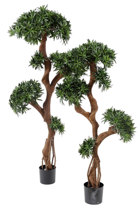 Albero Podocarpus Artificiale 140 Cm Decorazione Interni