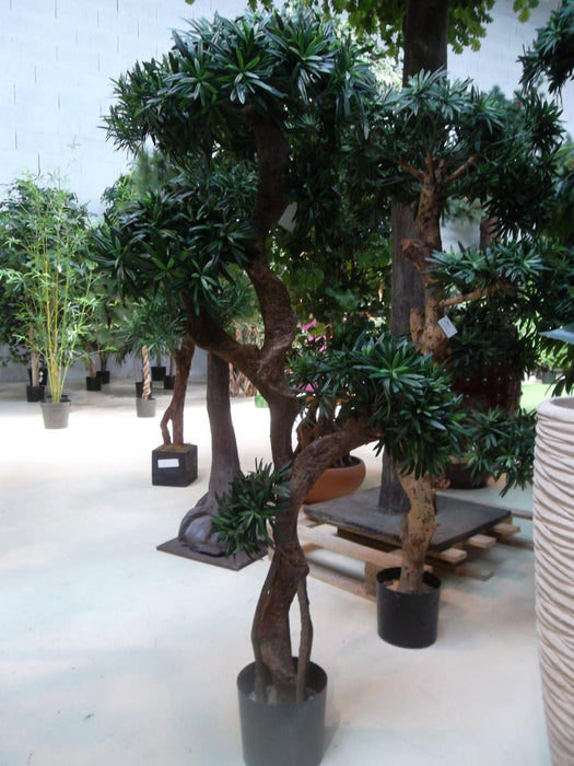 Albero Podocarpus Artificiale 140 Cm Decorazione Interni