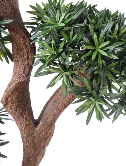 Albero Podocarpo Artificiale 5 Teste 165 Cm