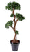Albero Podocarpo Artificiale 5 Teste 165 Cm